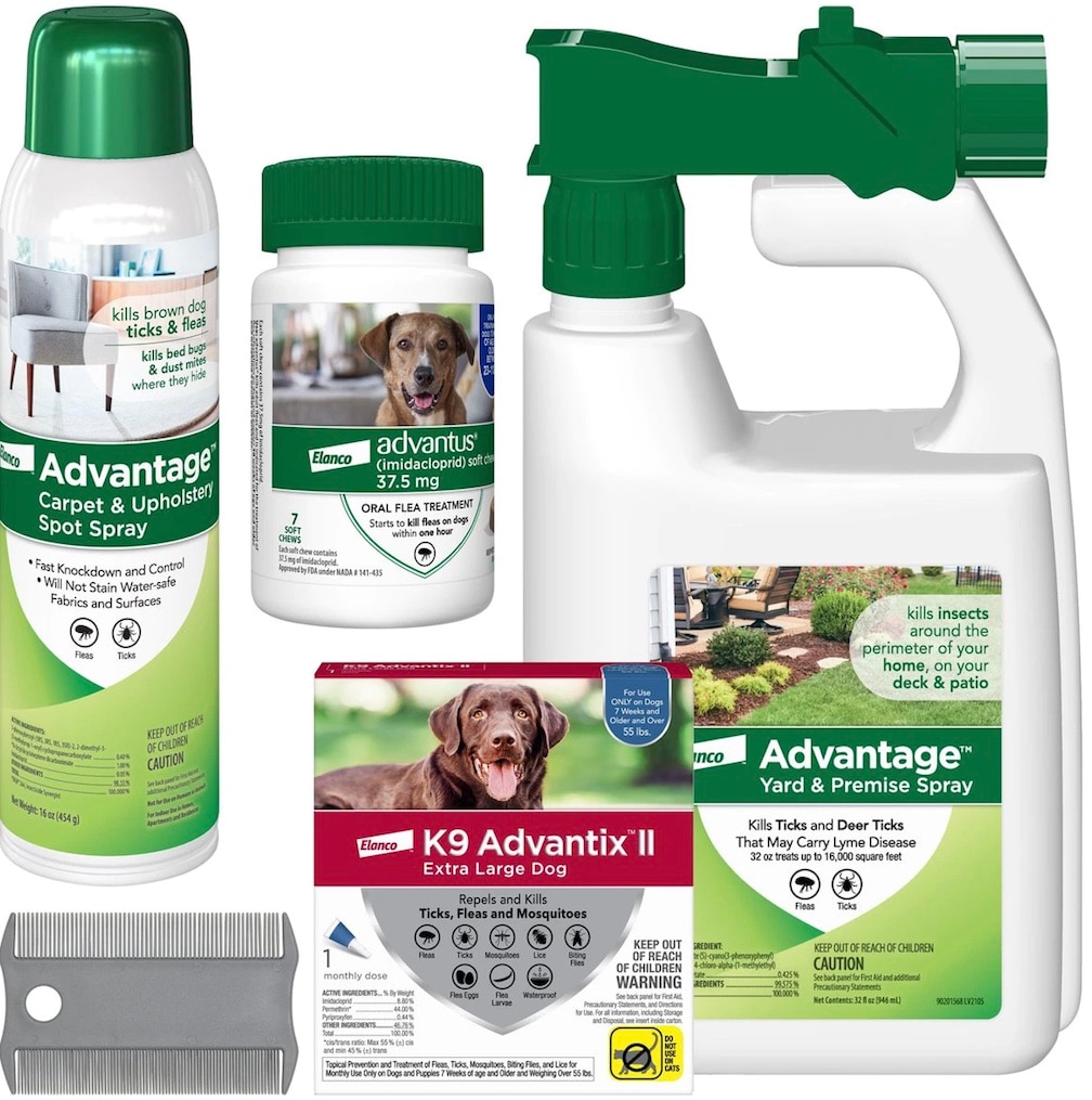 Best treatment for outlet flea infestation